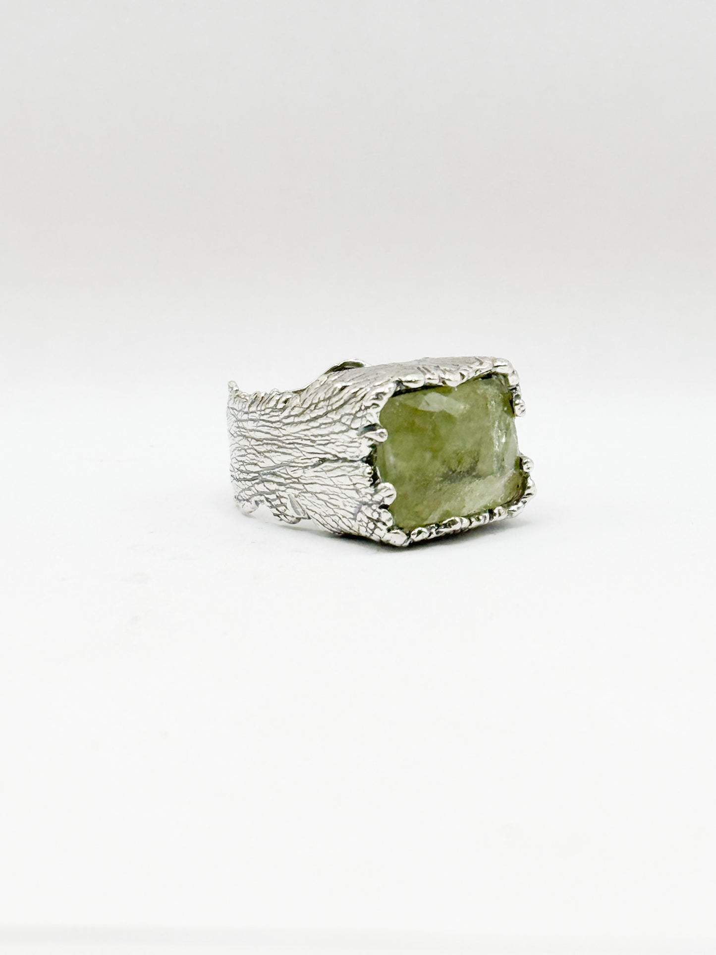 RING COLLECTION DESIGN 100